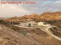  Residential Plot for Sale in Nathdwara Road, Udaipur