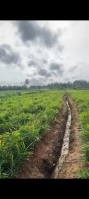  Agricultural Land for Sale in Krishnarajanagar, Mysore
