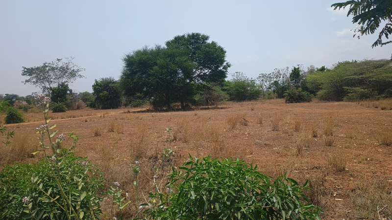  Industrial Land 90 Cent for Rent in Walajapet, Vellore