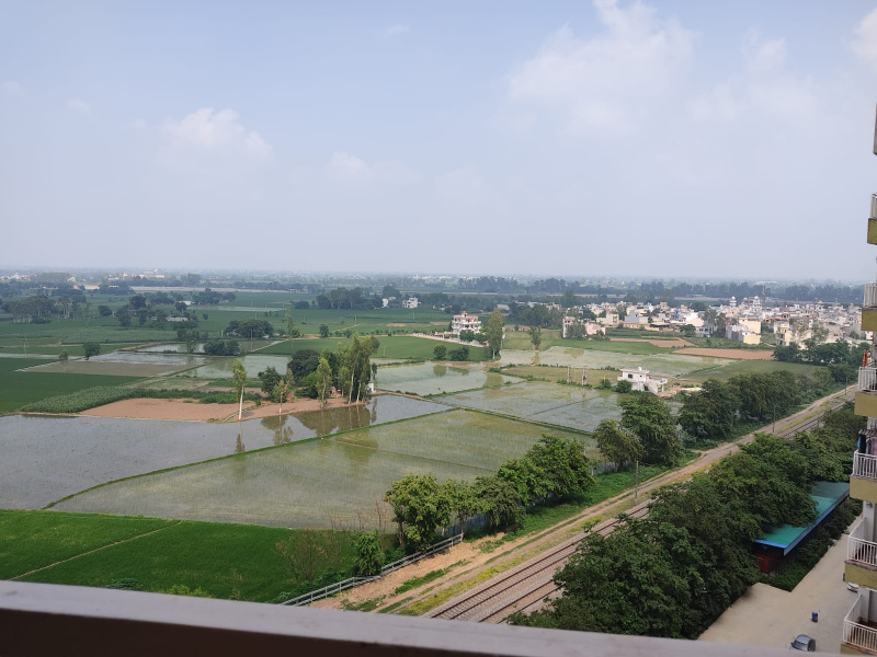 2 BHK Apartment 900 Sq.ft. for Rent in Khajurla, Jalandhar