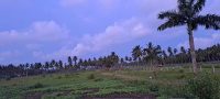  Residential Plot for Sale in Gunupudi, Bhimavaram