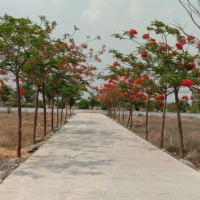  Residential Plot for Sale in Nardaha, Raipur
