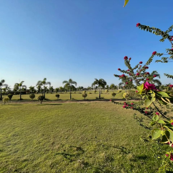  Residential Plot 590 Sq.ft. for Sale in Nardaha, Raipur