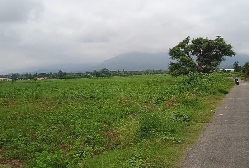 Agricultural Land 63 Bigha for Sale in Naugaon, Alwar