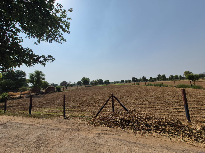  Agricultural Land 7 Bigha for Sale in Naugaon, Alwar