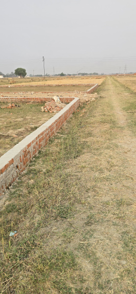  Residential Plot 1360 Sq.ft. for Sale in Baragaon, Varanasi