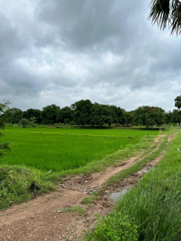  Agricultural Land for Sale in Sultanabad, Peddapalli
