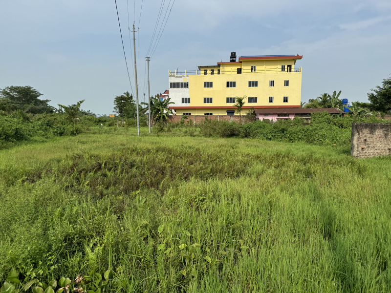  Residential Plot 7 Katha for Sale in Demow, Sibsagar