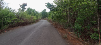  Agricultural Land for Sale in Mhasla, Raigad