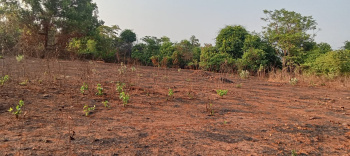  Agricultural Land for Sale in Tala, Raigad