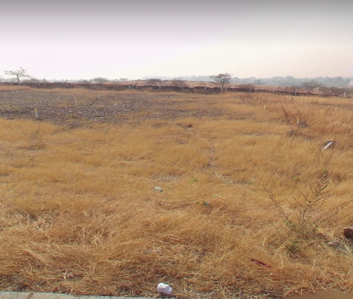  Agricultural Land 11000 Sq.ft. for Sale in Wadebolai, Pune