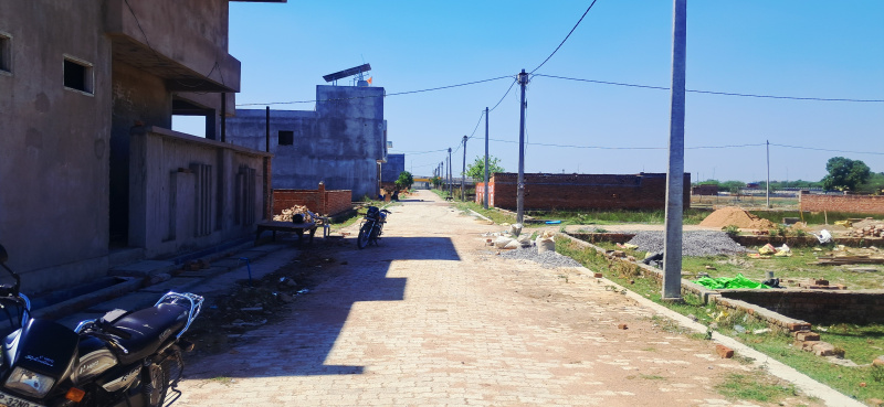 Kisan Path, Lucknow photo 5
