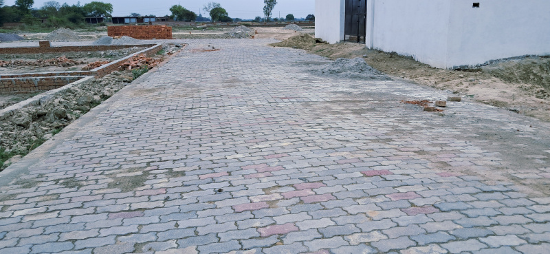 Kisan Path, Lucknow photo 3