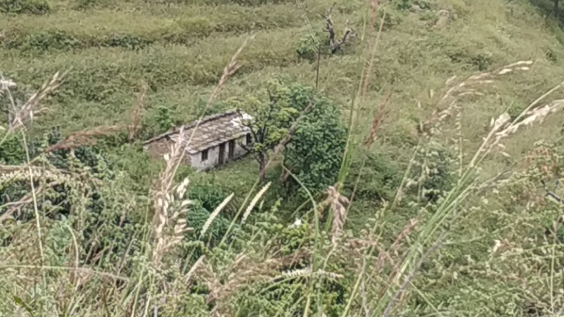  Agricultural Land 4000 Sq.ft. for Sale in Pauri, Pauri Garhwal