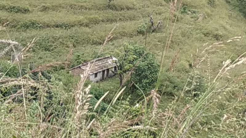  Agricultural Land 4000 Sq.ft. for Sale in Pauri, Pauri Garhwal
