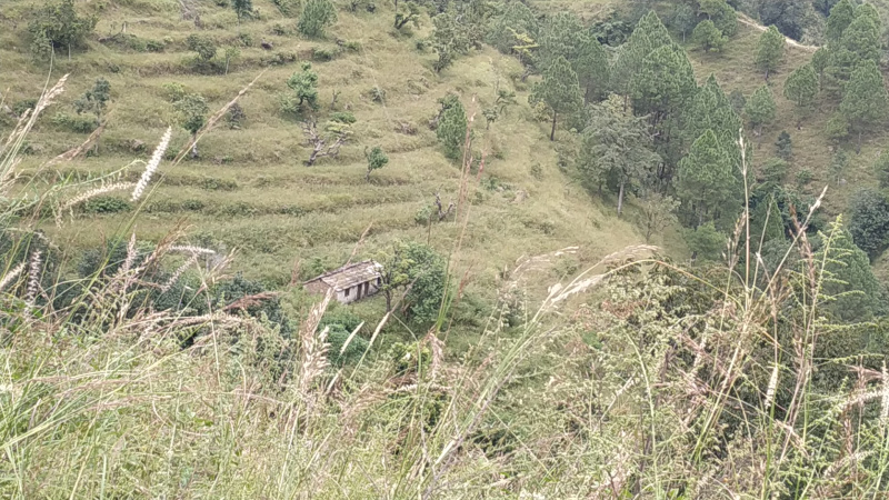  Agricultural Land 4000 Sq.ft. for Sale in Pauri, Pauri Garhwal