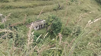  Agricultural Land for Sale in Pauri, Pauri Garhwal