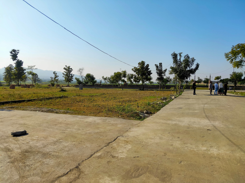  Residential Plot 17000 Sq. Yards for Sale in Dharmawala, Vikas Nagar, Dehradun