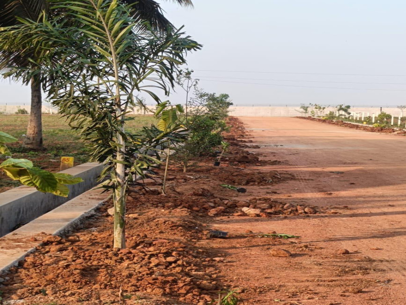  Residential Plot 200 Sq. Yards for Sale in Bhogapuram, Visakhapatnam