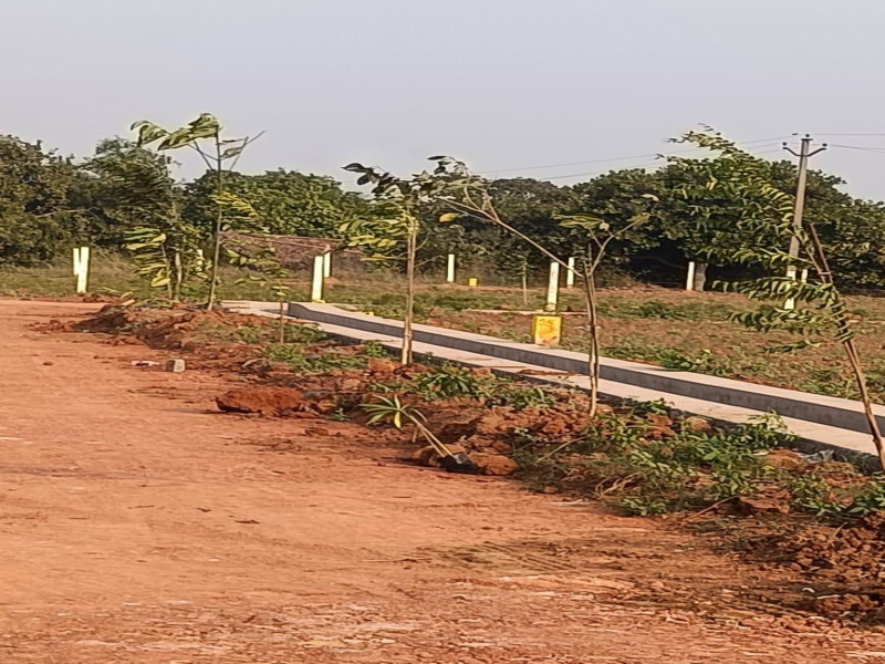  Residential Plot 200 Sq. Yards for Sale in Bhogapuram, Visakhapatnam