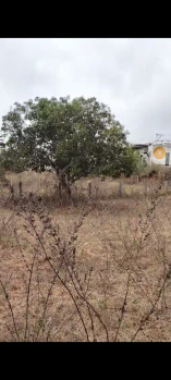  Residential Plot for Sale in Ramachandranagaram, Vijayawada