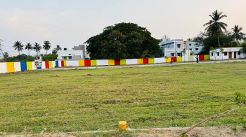  Residential Plot for Sale in Katpadi, Vellore