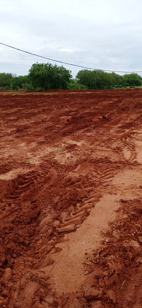  Agricultural Land 5 Acre for Sale in Shamirpet, Hyderabad