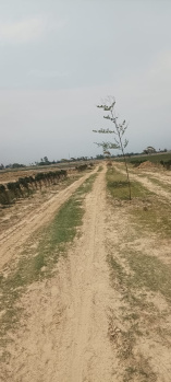  Residential Plot for Sale in Hata, Kushinagar