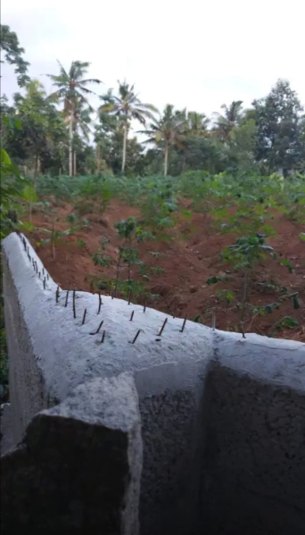  Residential Plot 160 Cent for Sale in Aakkulam, Thiruvananthapuram