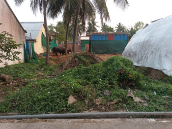  Residential Plot for Sale in Mandapeta, East Godavari