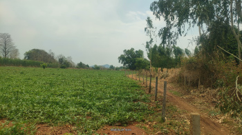  Agricultural Land for Sale in Patnagarh, Balangir