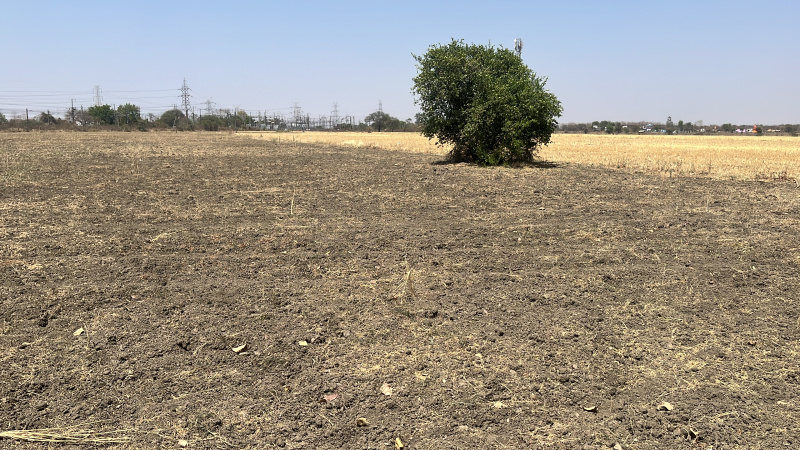  Agricultural Land 6 Acre for Sale in Sukhi Sewania, Bhopal