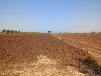  Agricultural Land for Sale in Palitana, Bhavnagar