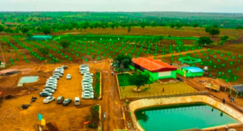  Agricultural Land for Sale in Narayankhed, Sangareddy