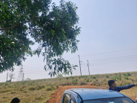  Residential Plot for Sale in Pratapsasan, Khordha