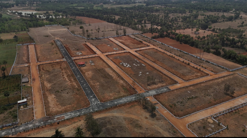  Residential Plot 166 Sq. Yards for Sale in Bhogapuram, Visakhapatnam