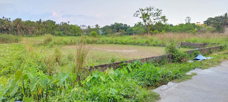  Commercial Land 2070 Sq.ft. for Sale in Sodepur, Kolkata
