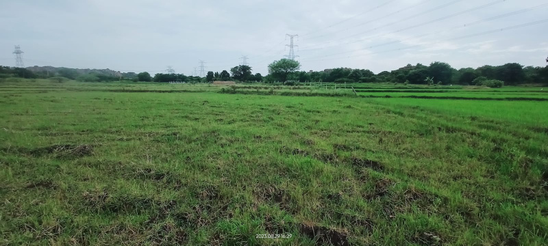 1 BHK Farm House 3 Ares for Sale in Maheshwaram, Rangareddy