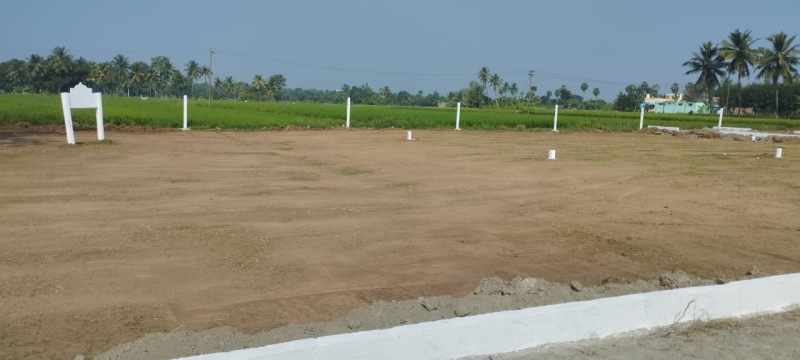  Residential Plot 1700 Sq.ft. for Sale in Oragadam, Chennai