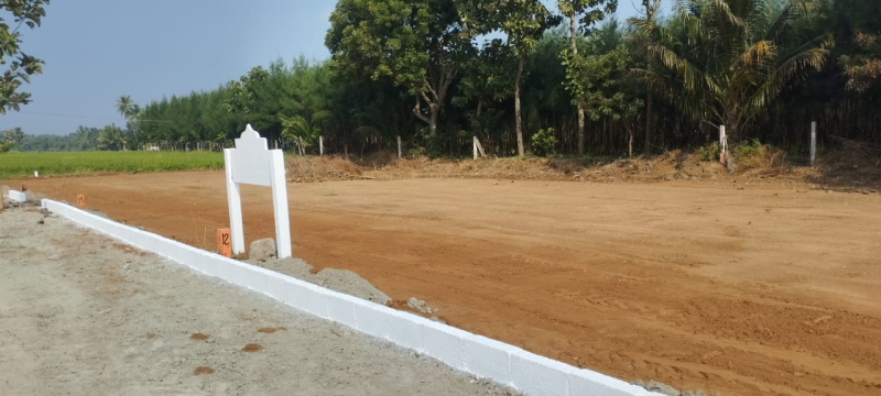  Residential Plot 1500 Sq.ft. for Sale in Karunguzhi, Chengalpattu