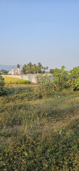  Agricultural Land for Sale in Renigunta, Tirupati