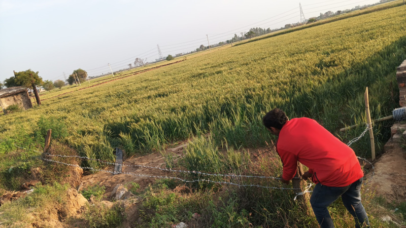  Industrial Land 6 Bigha for Sale in Rabupura, Gautam Buddha Nagar