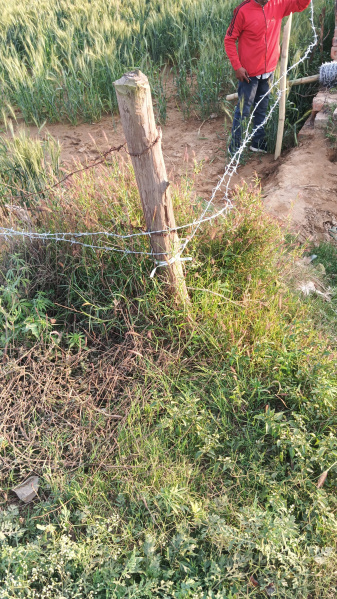 Industrial Land 6 Bigha for Sale in Rabupura, Gautam Buddha Nagar