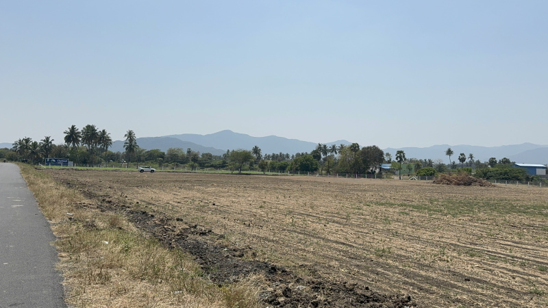  6 Acre Commercial Land for Sale in Veppanthattai, Perambalur