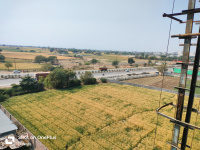  Commercial Land for Sale in Sagore Kuti Road, Indore