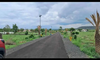  Agricultural Land for Sale in Amravati Road, Nagpur