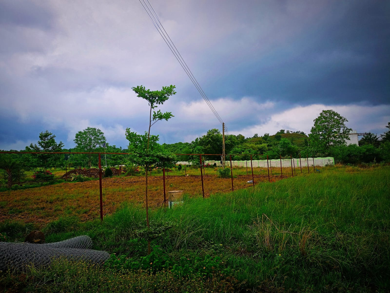  Agricultural Land 5000 Sq.ft. for Sale in Amravati Road, Nagpur