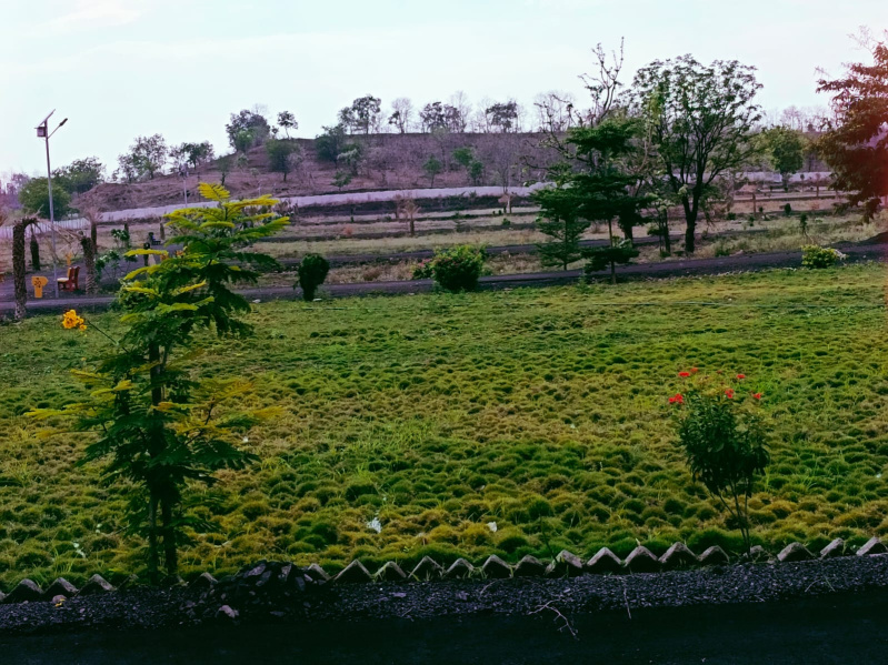  Agricultural Land 5000 Sq.ft. for Sale in Amravati Road, Nagpur