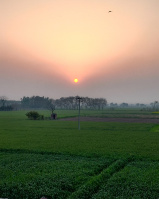  Agricultural Land for Sale in NH 1, Rajpura