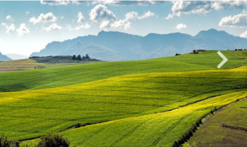  Agricultural Land for Sale in Mansarovar, Jaipur